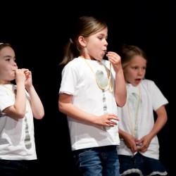 Groepsoptreden (3) - Toneelvereniging Plankenkoorts 